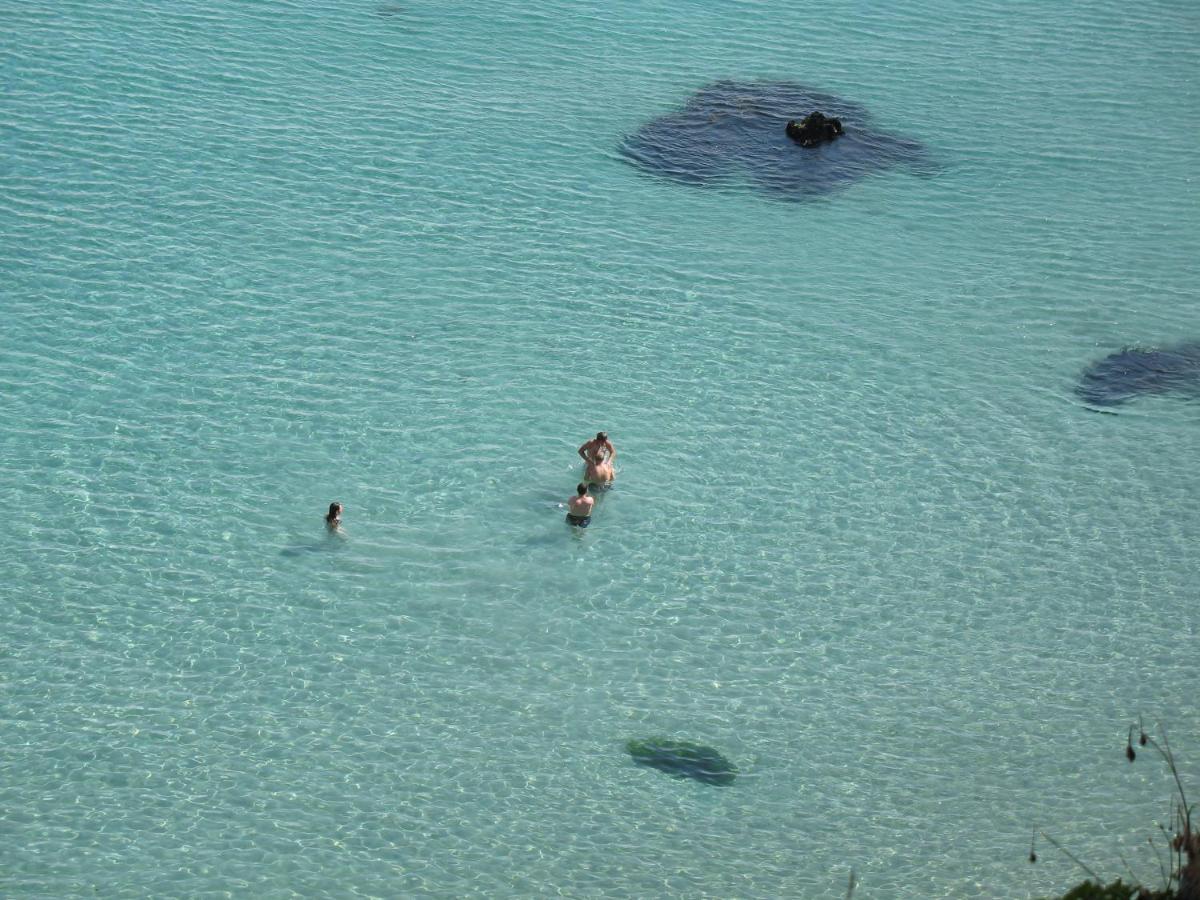 Le Cabestan, Appartement Proche Plage Morgat Crozon Eksteriør billede